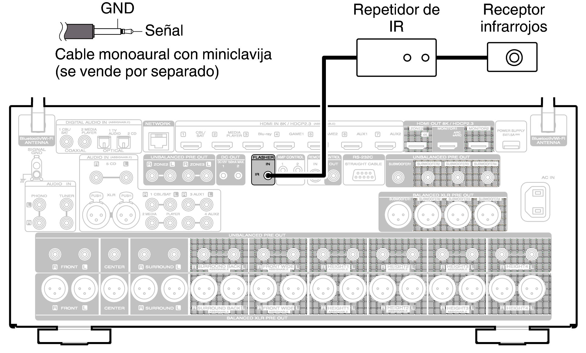Conn FLASH IN AV10N
